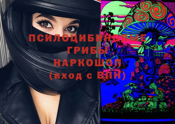 Альфа ПВП Заволжск